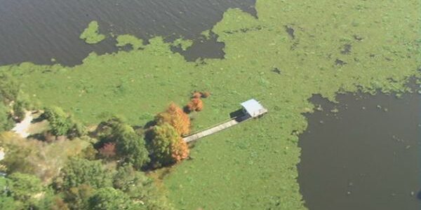 Aquatic Spraying Treatments